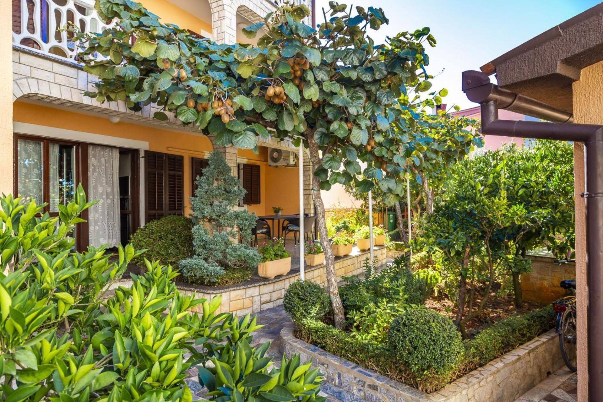 Apartments Mir Фажана Экстерьер фото